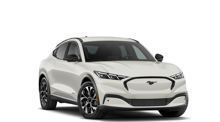 Mustang Mach-E® vehicle